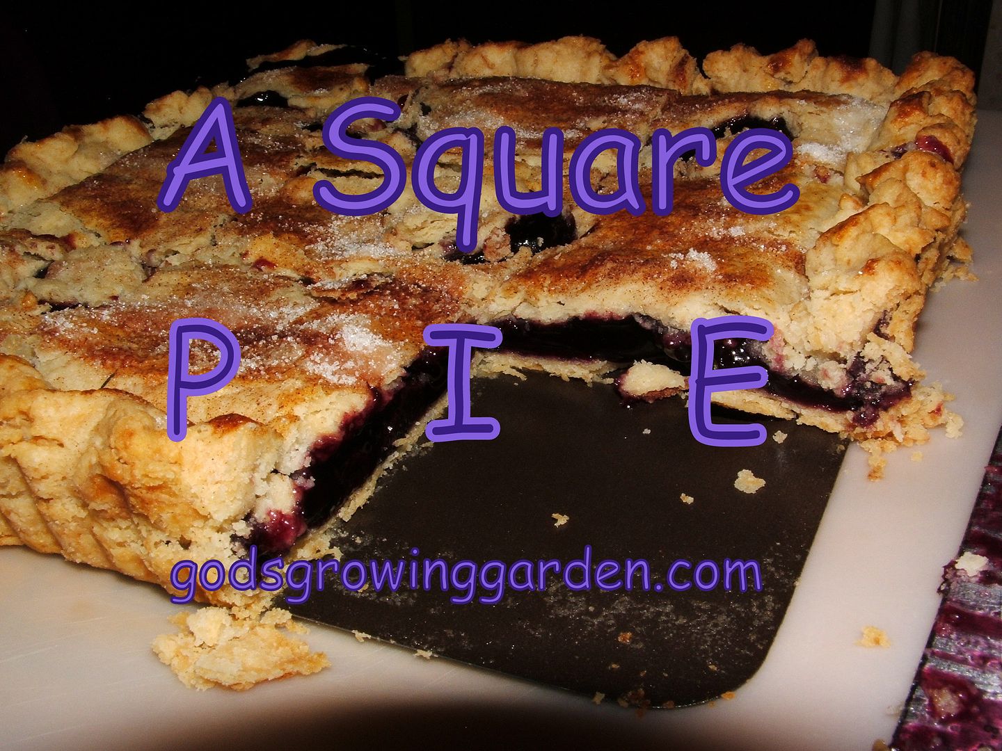 Square Pie by Angie Ouellette-Tower for godsgrowinggarden.com photo 012_zpsd37e1d67.jpg