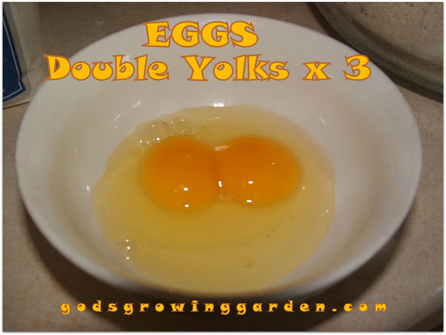 Double Yolks by Angie Ouellette-Tower for godsgrowinggarden.com photo 002_zps640889ab.jpg
