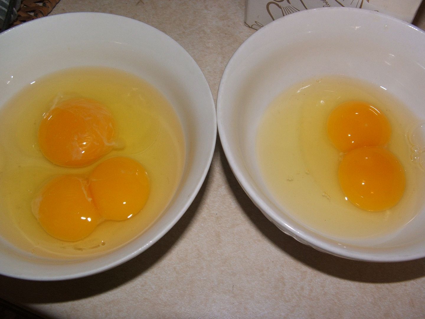Double Yolks by Angie Ouellette-Tower for godsgrowinggarden.com photo 003_zps2177a16f.jpg