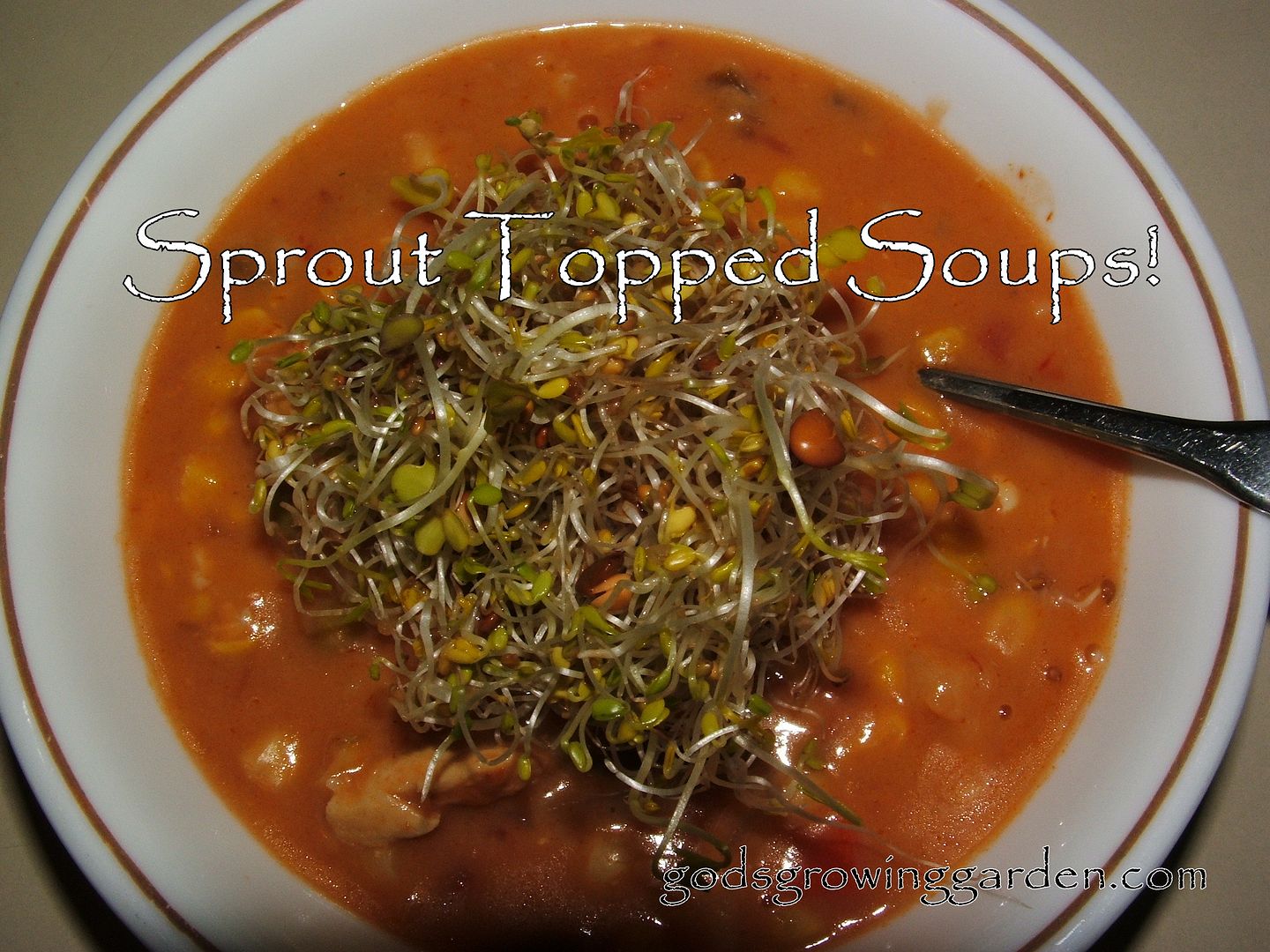 Sprout topped soups by Angie Ouellette-Tower for godsgrowinggarden.com photo 005_zps35fd9c0e.jpg