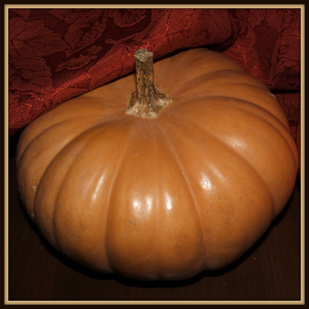 Pumpkins by Angie Ouellette-Tower for godsgrowinggarden.com photo 006_zps3d9bb4a3.jpg