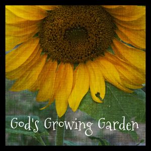 God’s Growing Garden