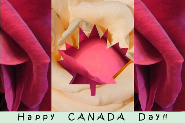 Canada Day by Angie Ouellette-Tower for godsgrowinggarden.com photo Canada_zpscdb52d09.jpg