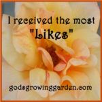 God’s Growing Garden