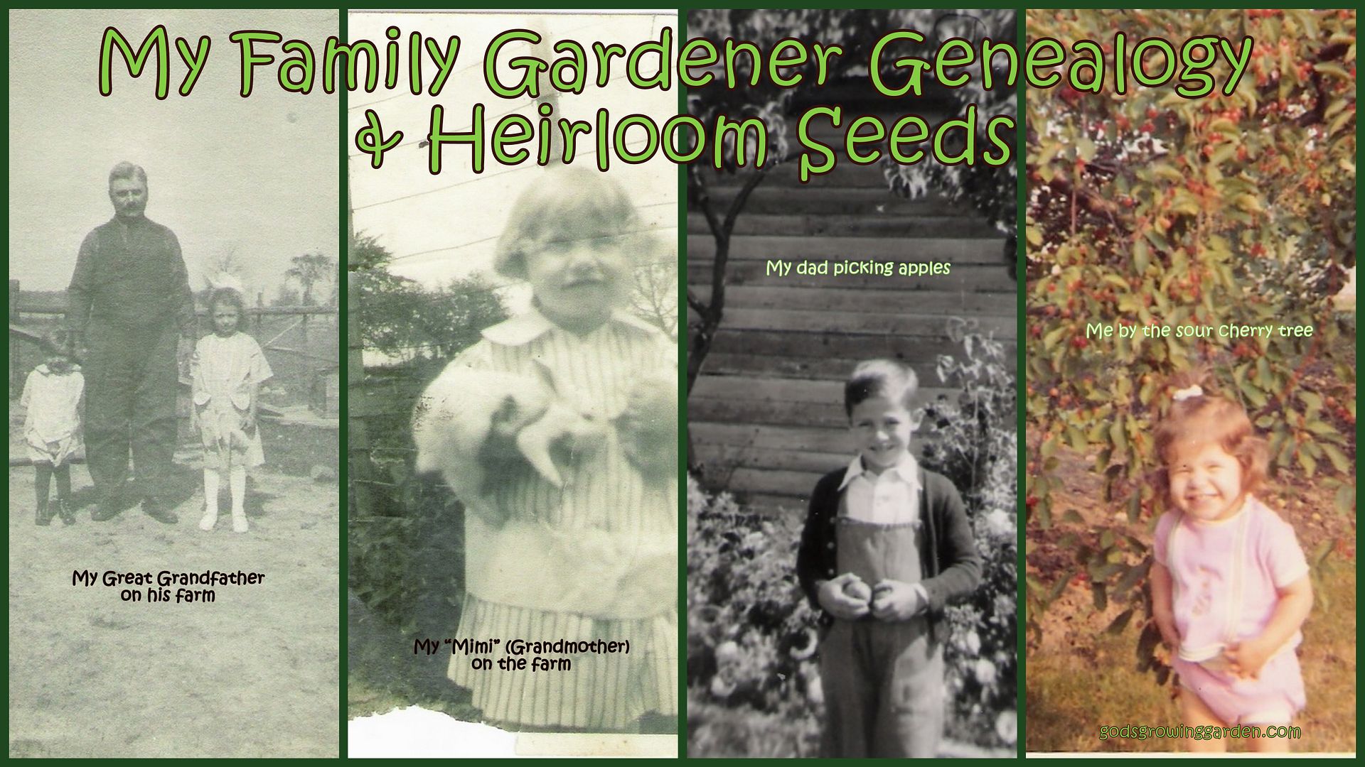 Gardener Genealogy by Angie OuelletteTower for godsgrowinggarden.com photo OldPhotosMe_zps6e392fc0.jpg