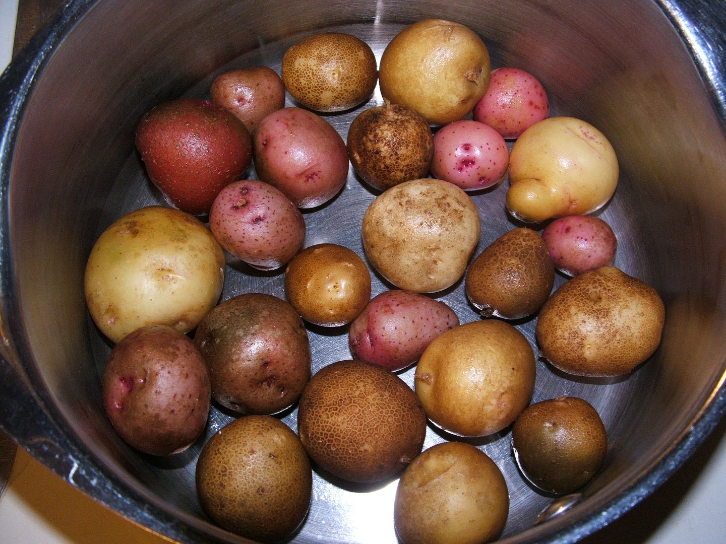 Tiny Tender Tater Treats by Angie Ouellette-Tower for godsgrowinggarden.com photo 001_zpsb231cdae.jpg