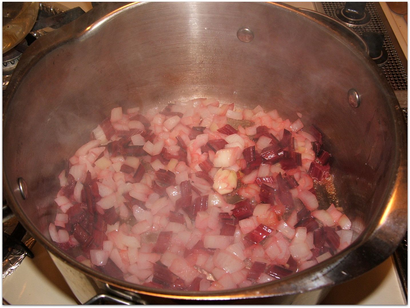 Swiss Chard Soup by Angie Ouellette-Tower for godsgrowinggarden.com photo 003_zps84071b94.jpg