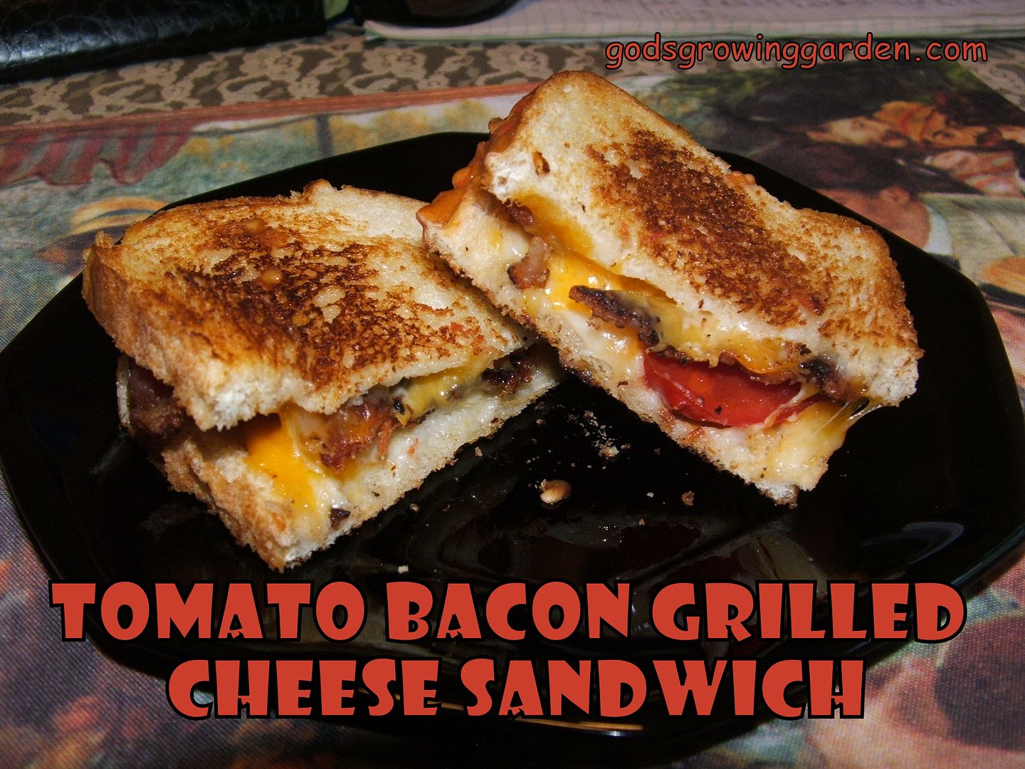 Tomato Bacon Cheese by Angie Ouellette-Tower for godsgrowinggarden.com photo 008_zps48fb5d39.jpg