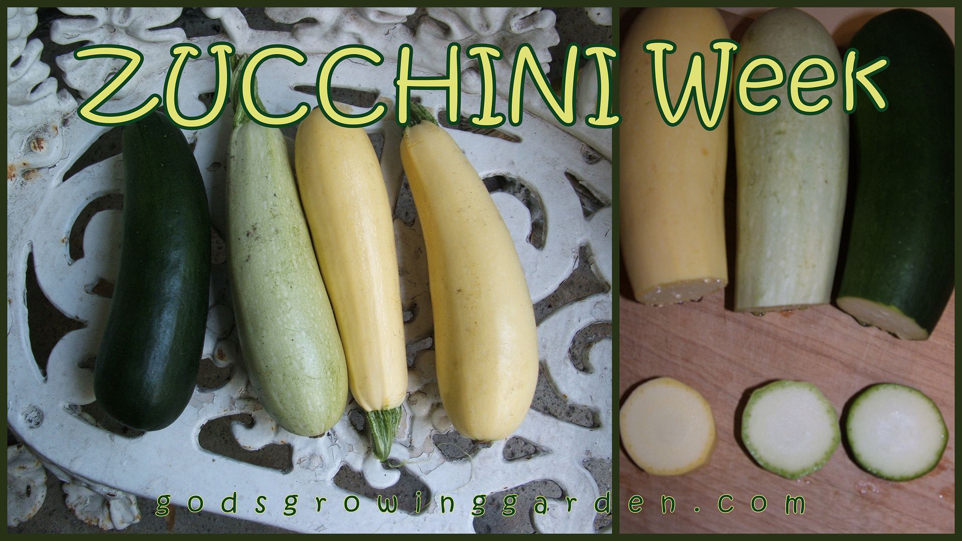 zucchini by Angie Ouellette-Tower for godsgrowinggarden.com photo 2012-08-01_zps2c472265.jpg