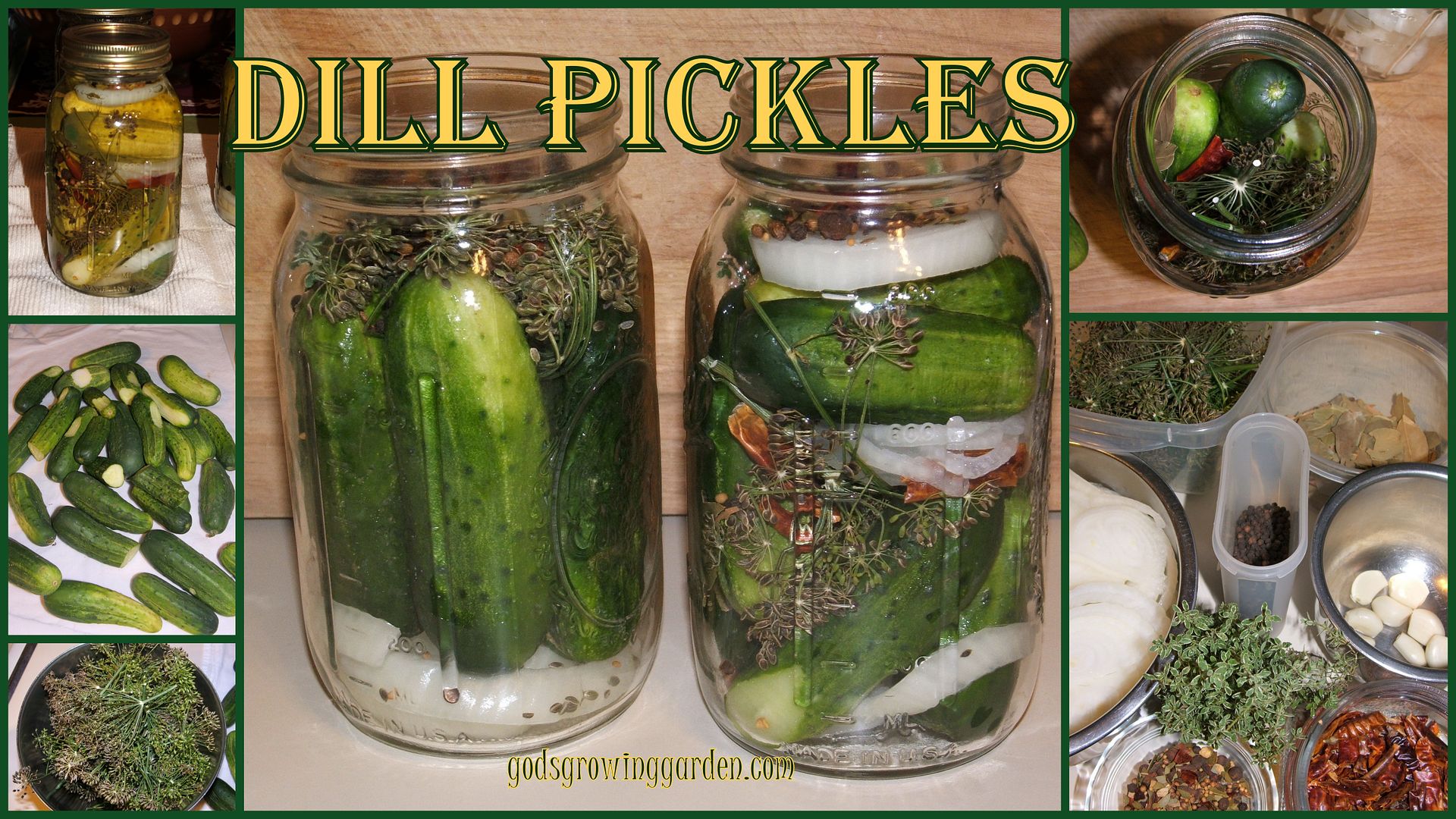 Pickles by Angie Ouellette-Tower for godsgrowinggarden.com photo BlogStuff-002_zps054109c8.jpg