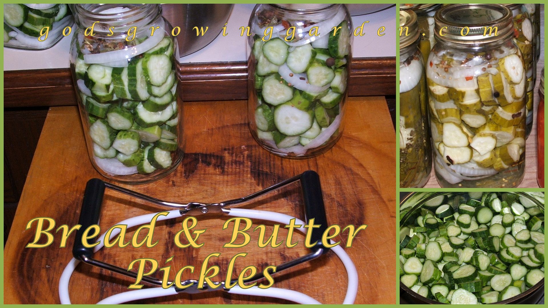 Pickles by Angie Ouellette-Tower for godsgrowinggarden.com photo BlogStuff4_zps9496910c.jpg