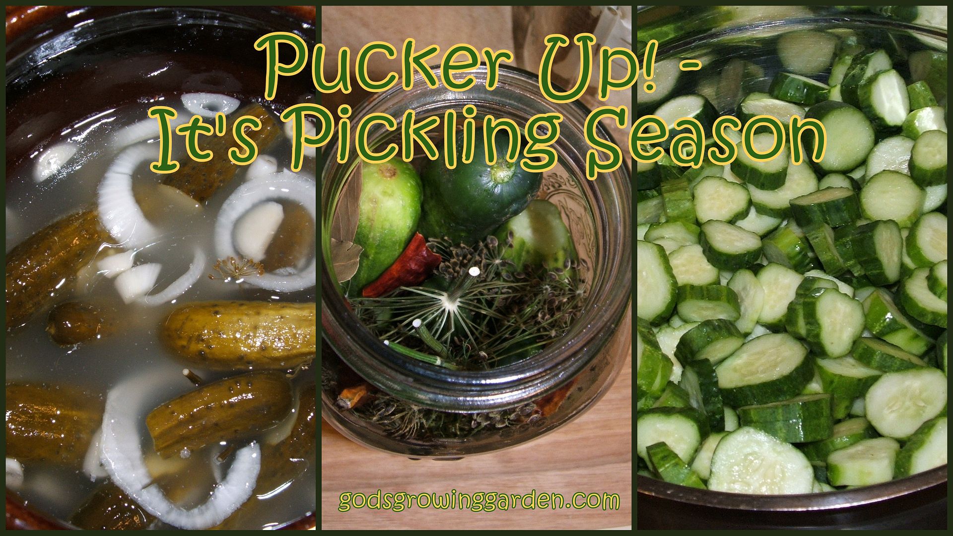 Pickles by Angie Ouellette-Tower for godsgrowinggarden.com photo BlogStuff_zpsc34aae84.jpg