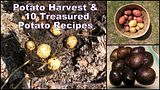 Potato Harvest & 10 Treasured Potato Recipes