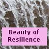 The Beauty of Resilience