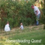 Homesteading Quest