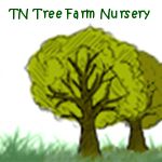 TN Tree Farm Nursery