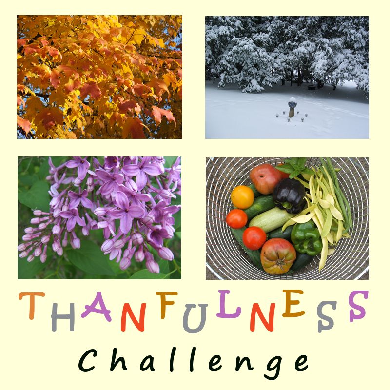 by Angie Ouellette-Tower for http://www.godsgrowinggarden.com/ photo ThankfulnessChallenge_zpsvqzsznkx.jpg