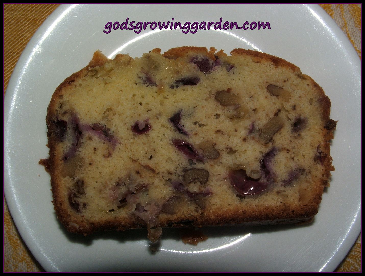 Concord Grape Bread by Angie Ouellette-Tower for godsgrowinggarden.com photo 002_zps9f826437.jpg