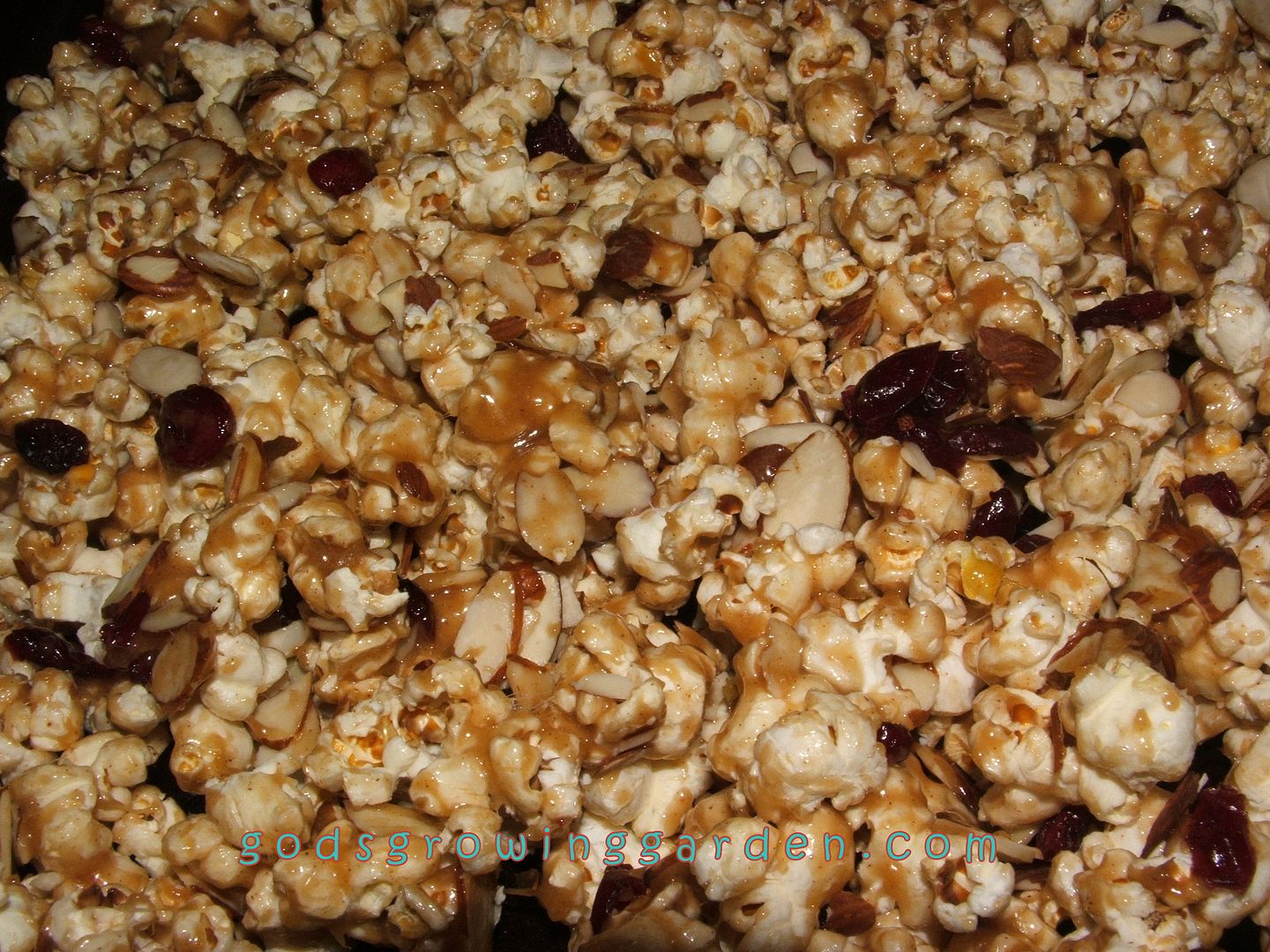 caramel popcorn by Angie Ouellette-Tower for godsgrowinggarden.com photo 007_zps6cf9d867.jpg