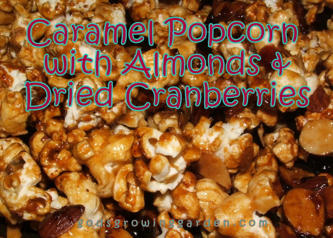 caramel popcorn by Angie Ouellette-Tower for godsgrowinggarden.com photo 009_zps93cc7ac8.jpg