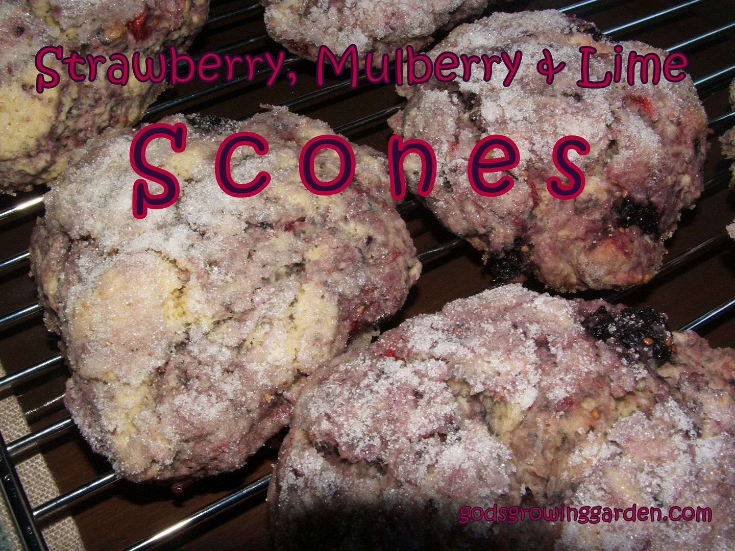 Mulberry Scones by Angie Ouellette-Tower for godsgrowinggarden.com photo 010_zpsb02e97b1.jpg