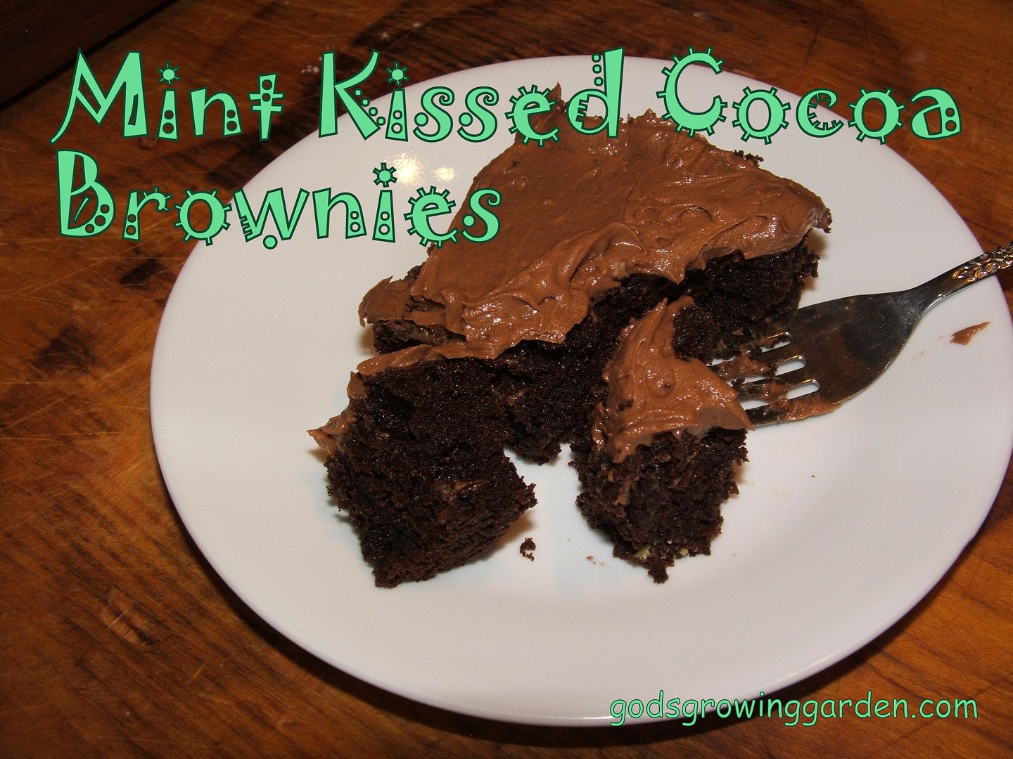 Mint Kissed Cocoa Brownies by Angie Ouellette-Tower for godsgrowinggarden.com photo 011_zps14e6198b.jpg
