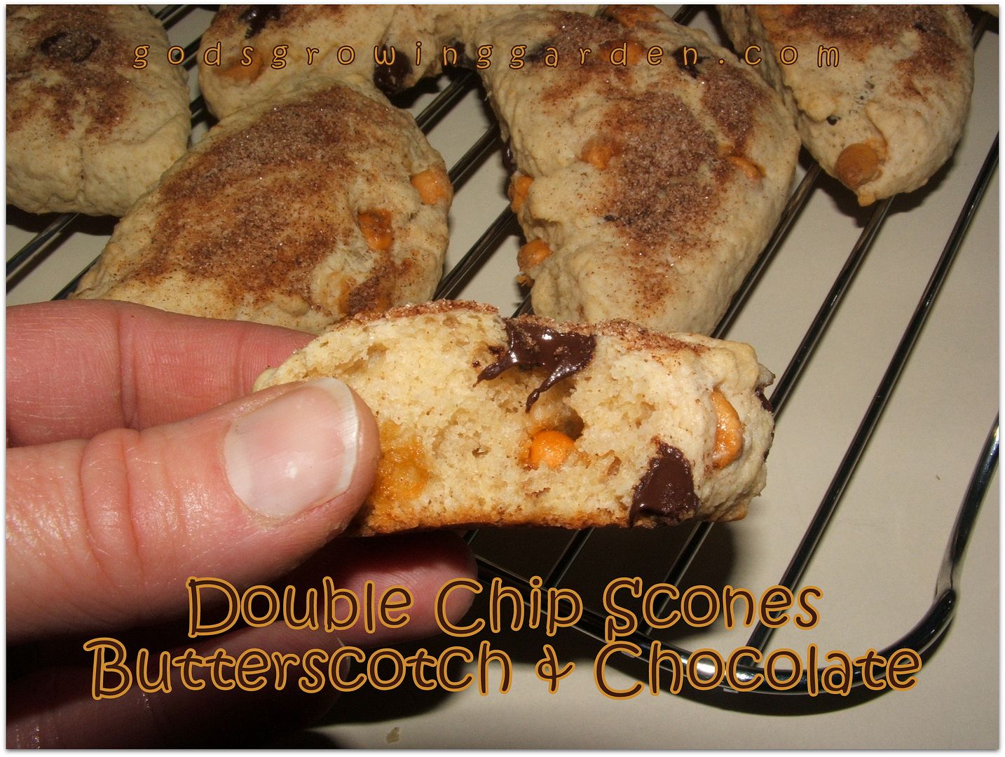 Chocolate & Butterscotch Chip Scones by Angie Ouellette-Tower for godsgrowinggarden.com photo 012_zps7c6d3677.jpg