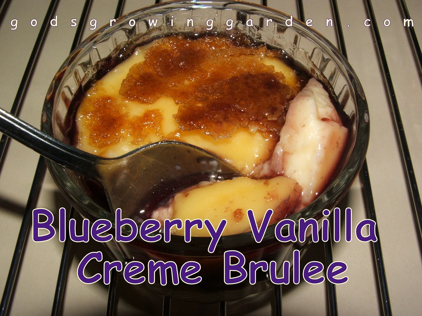 Blueberry Vanilla Creme Brulee by Angie Ouellette-Tower for godsgrowinggarden.com photo 014_zps2b52e365.jpg