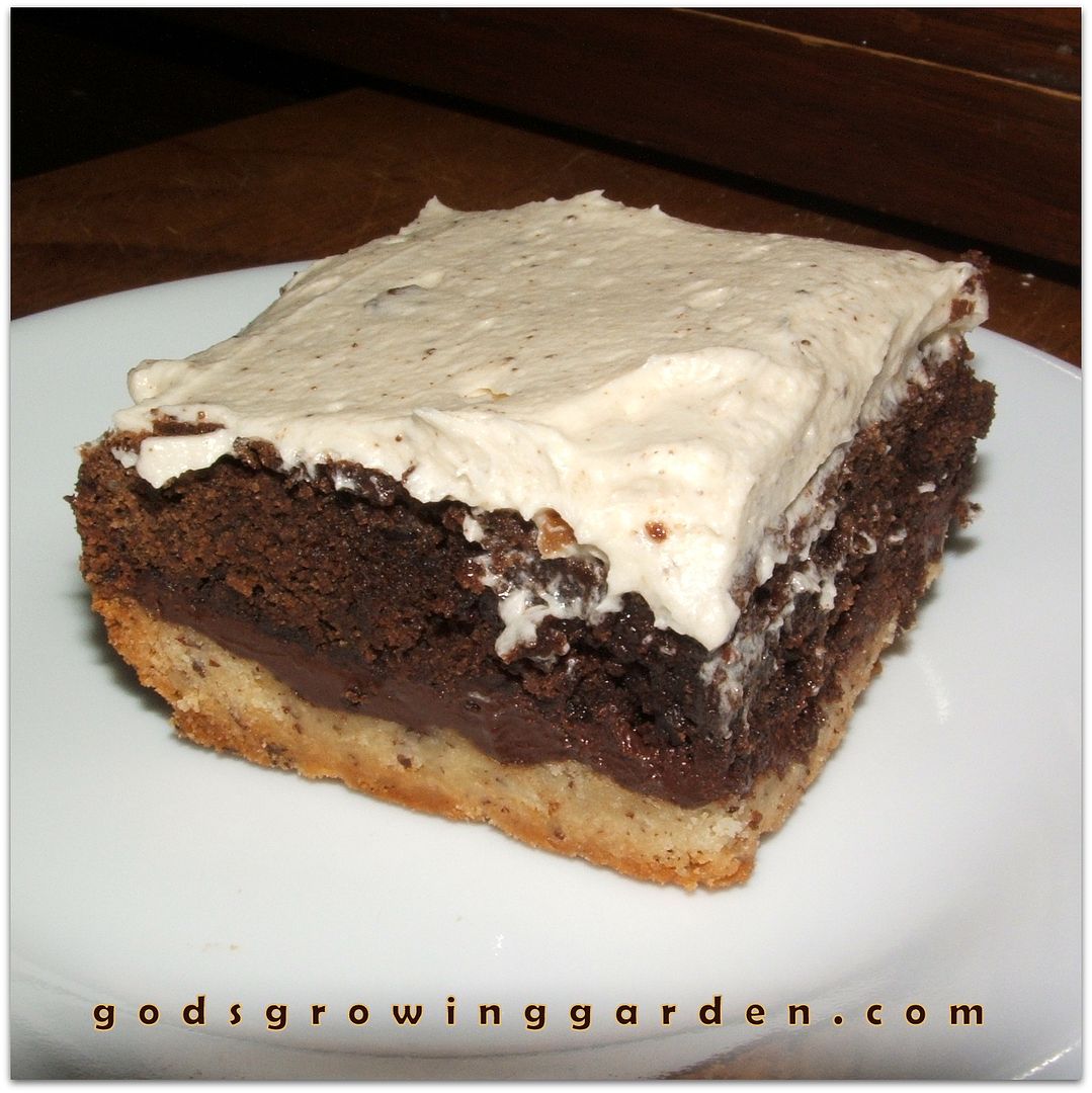 Brownie Pie Squares by Angie Ouellette-Tower for godsgrowinggarden.com photo 014_zpsbb9c95ea.jpg