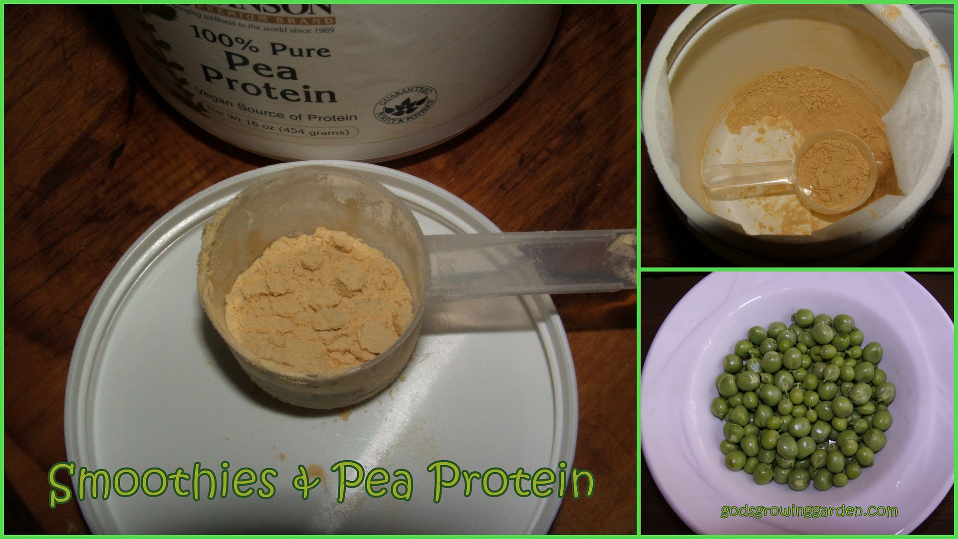 Pea Protein by Angie Ouellette-Tower for godsgrowinggarden.com photo 2012-06-13_zpsf6cc87ca.jpg