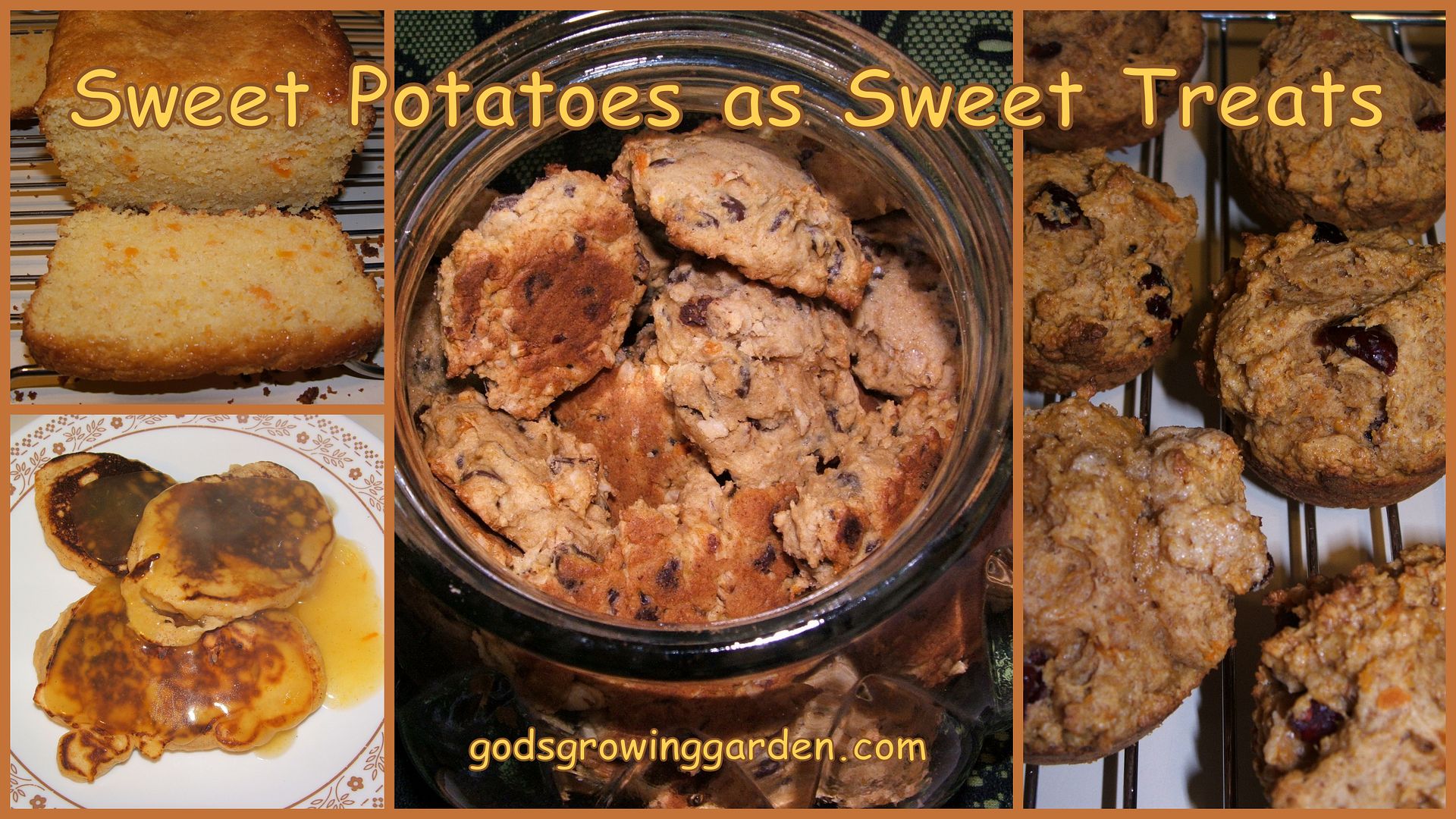 Sweet Potatoes by Angie Ouellette-Tower for godsgrowinggarden.com photo BlogStuff3_zpse7c2c412.jpg