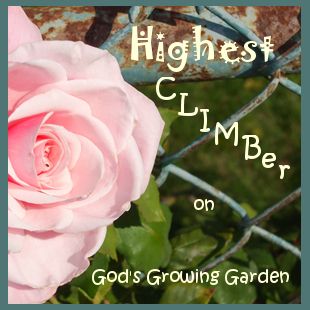 God’s Growing Garden