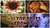 15 Top Posts From 2015