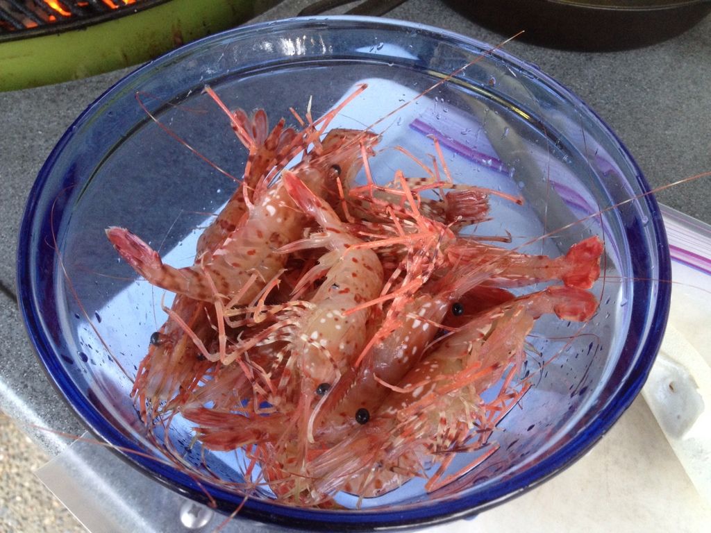 4500CAB2-3D83-4F34-A9F8-4AF24044BEEF-6256-0000072036CAB4BA.jpg