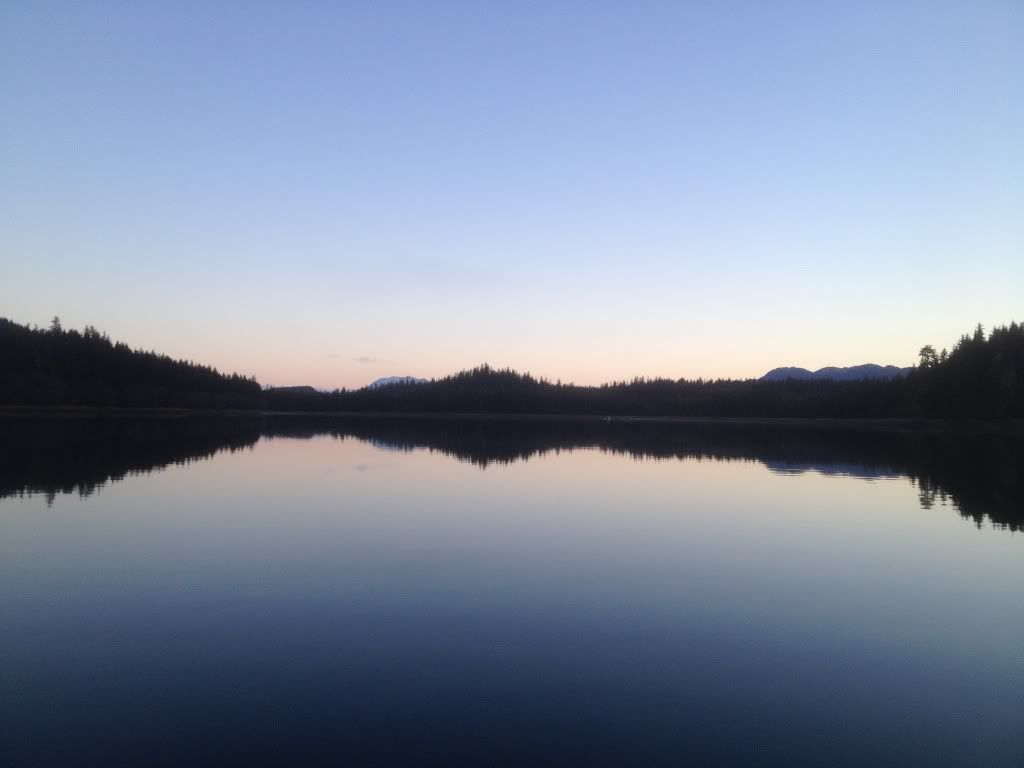null_zpsce259662.jpg