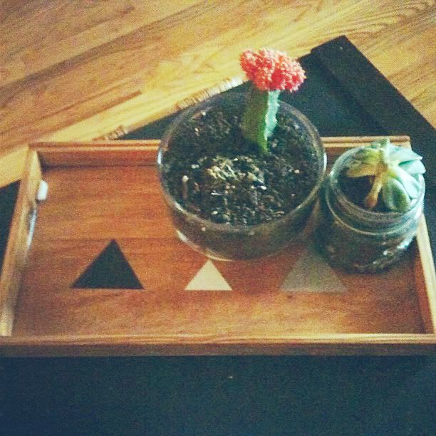 Finished triangle tray