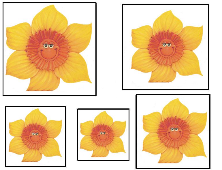  photo Yellow1FlowerSizing.jpg