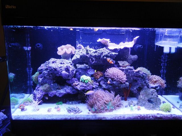 Fulltank_zps21138cbb.jpg