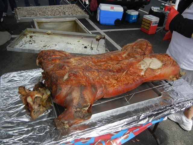 pig.jpg