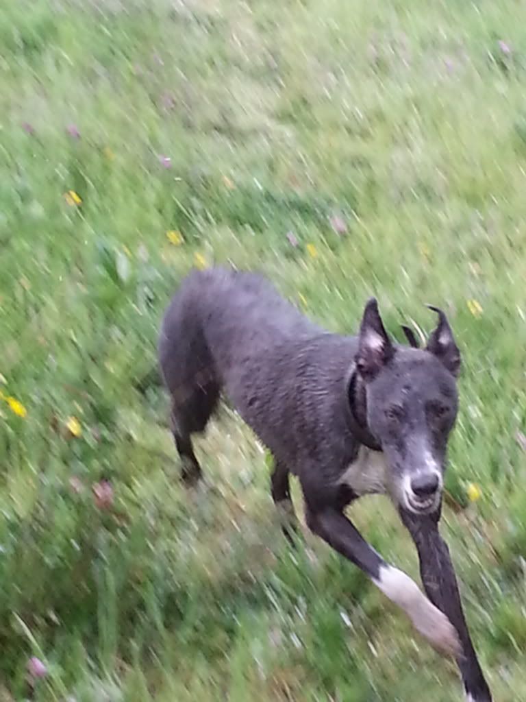 20130612_170409.jpg