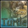 Turtleleaf Avatar