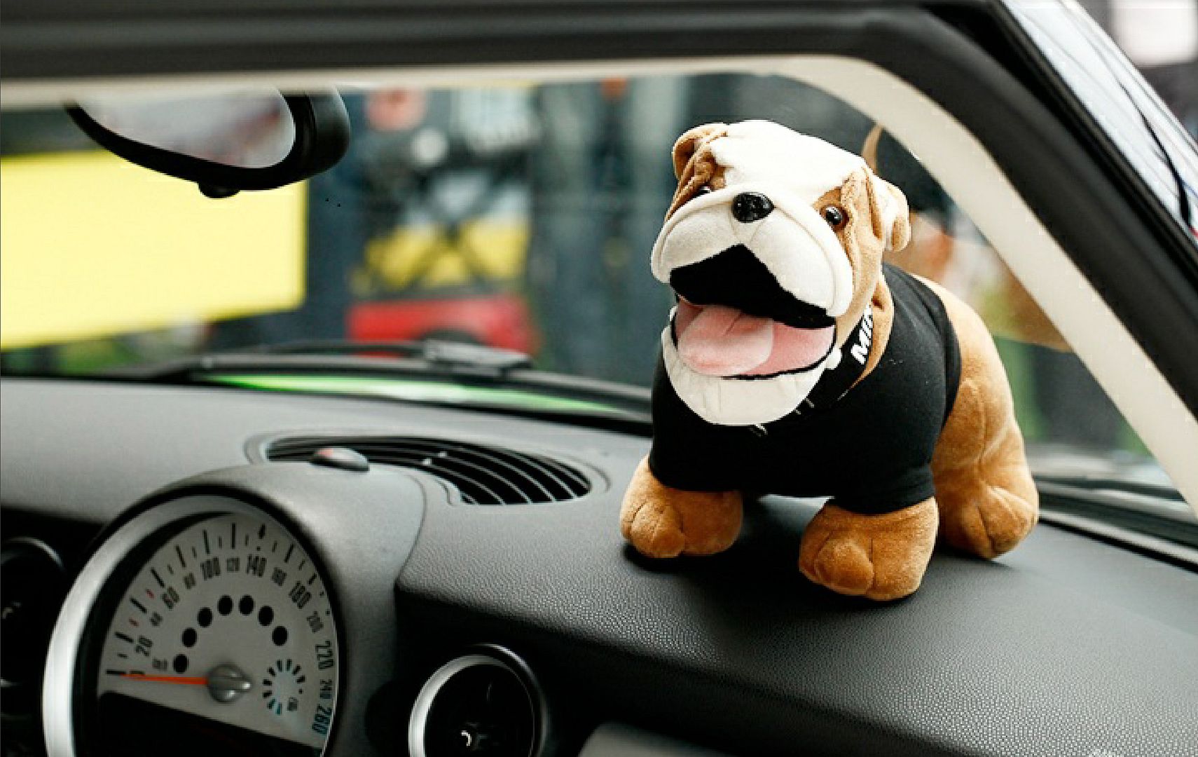 mini cooper stuffed bulldog