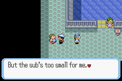 PokemonRuby_06-2.png