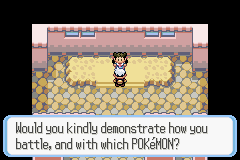 PokemonRuby_102.png