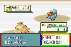 PokemonRuby_105-1.png