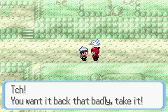 PokemonRuby_134.png