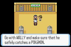 PokemonRuby_35-1.png