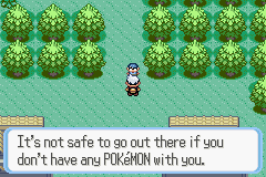 PokemonRuby_35.png