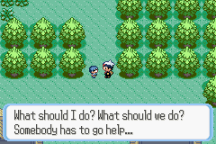 PokemonRuby_53.png