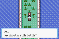 PokemonRuby_80-1.png